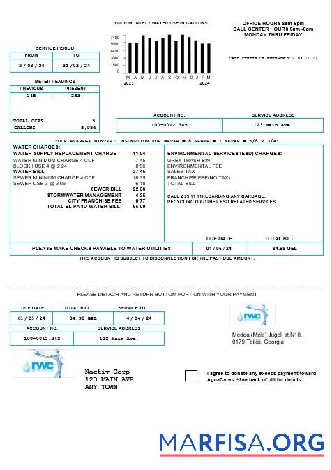 Downloadable Georgia RWC water business bill template in Word and PDF formats1